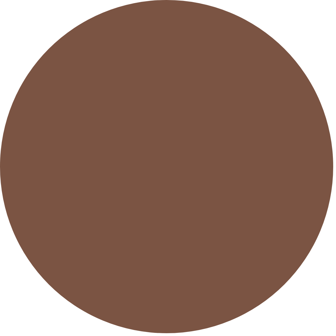 Brown Polar Lenses